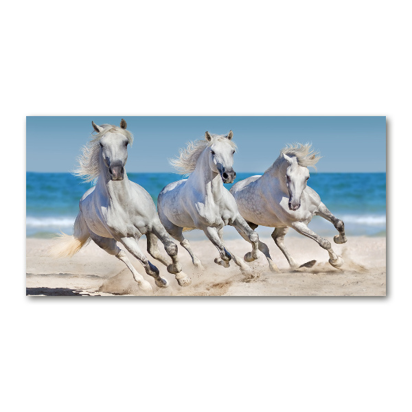 Acrylglas-Druck Strand von White Horses
