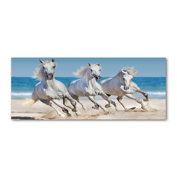Acrylglas-Druck Strand von White Horses