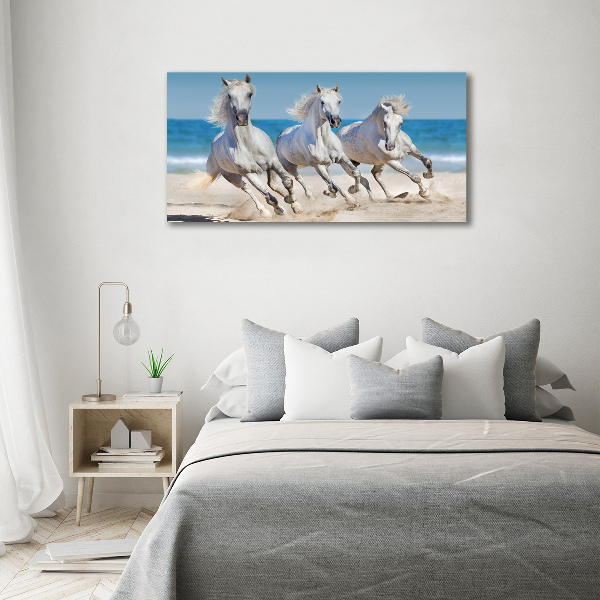Acrylglas-Druck Strand von White Horses