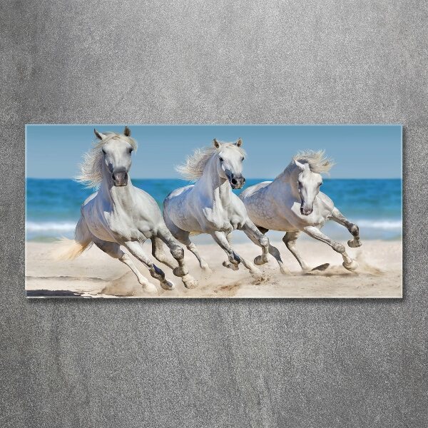 Acrylglas-Druck Strand von White Horses