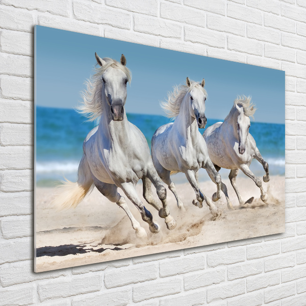 Acrylglas-Druck Strand von White Horses