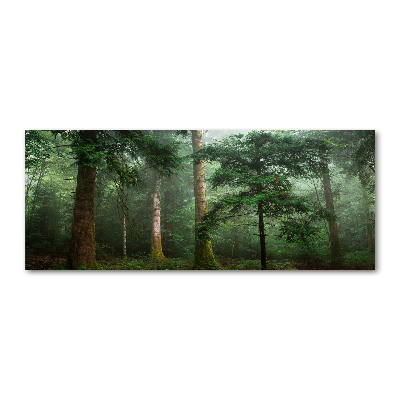 Foto auf Acryl Nebel im Wald