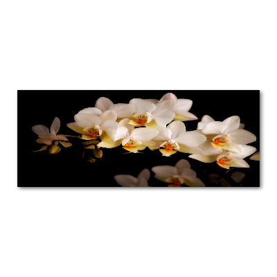 Acrylbild Fotodruck Orchidee