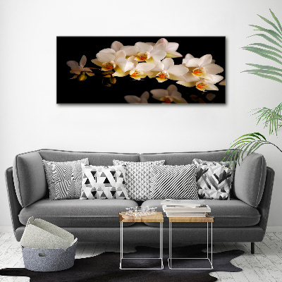Acrylbild Fotodruck Orchidee