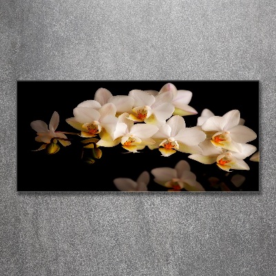 Acrylbild Fotodruck Orchidee