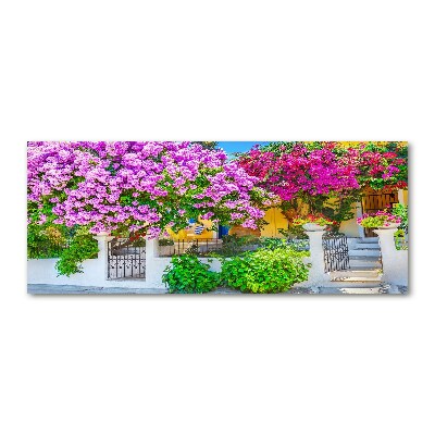 Acrylglas-Druck Haus mit Bougainvillea