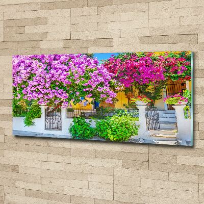 Acrylglas-Druck Haus mit Bougainvillea