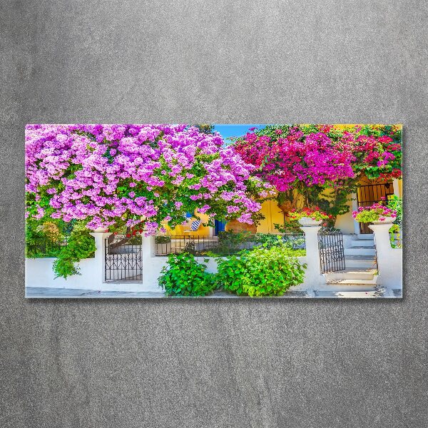 Acrylglas-Druck Haus mit Bougainvillea