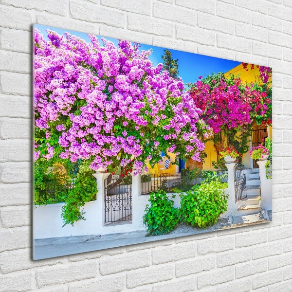 Acrylglas-Druck Haus mit Bougainvillea