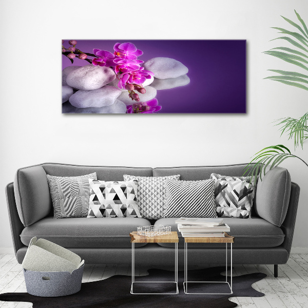 Foto auf Acryl Orchidee