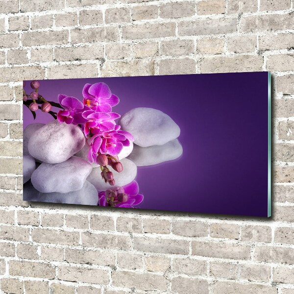 Foto auf Acryl Orchidee