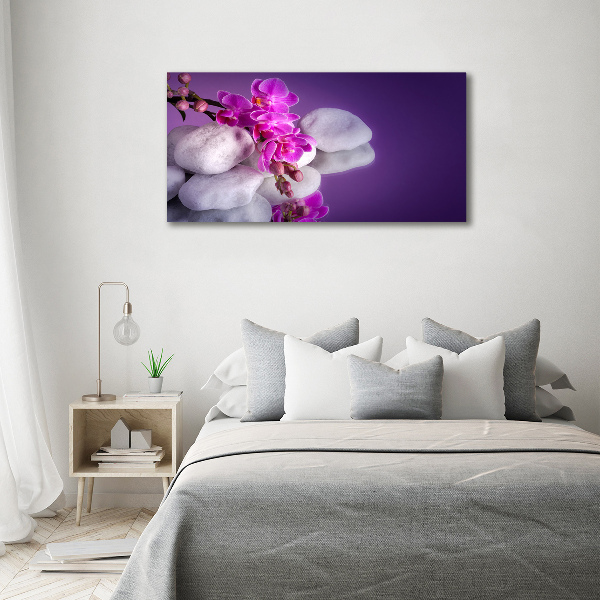 Foto auf Acryl Orchidee