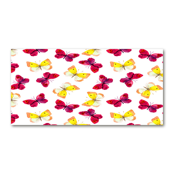 Acrylglas-Druck Schmetterlinge und Blumen