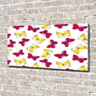 Acrylglas-Druck Schmetterlinge und Blumen