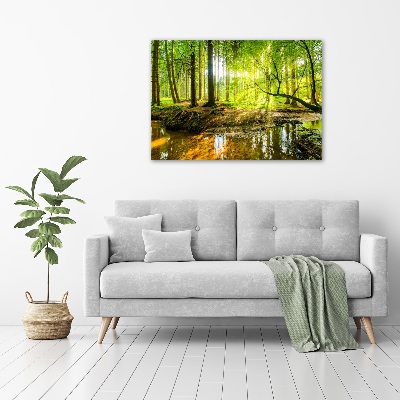 Foto auf Acryl Ein Teich im Wald