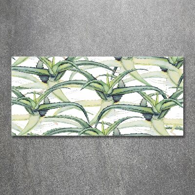 Bild auf Acrylglas Aloe