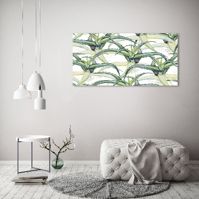 Bild auf Acrylglas Aloe