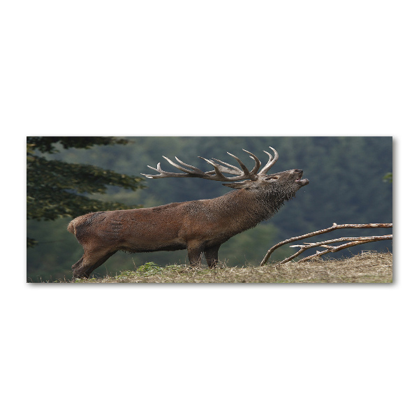 Bild auf Acrylglas Hirsche auf dem Hügel