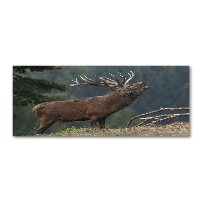 Bild auf Acrylglas Hirsche auf dem Hügel