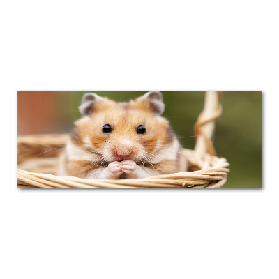 Acrylbild Fotodruck Hamster im Korb