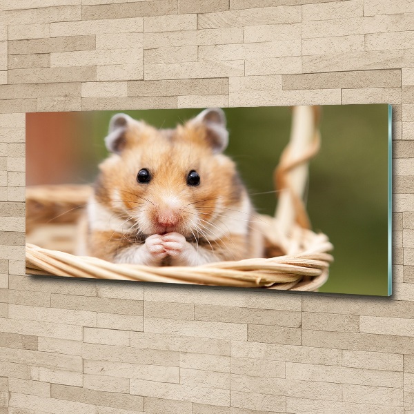 Acrylbild Fotodruck Hamster im Korb