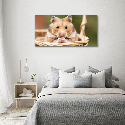 Acrylbild Fotodruck Hamster im Korb