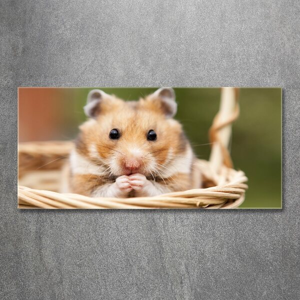 Acrylbild Fotodruck Hamster im Korb
