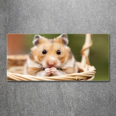 Acrylbild Fotodruck Hamster im Korb