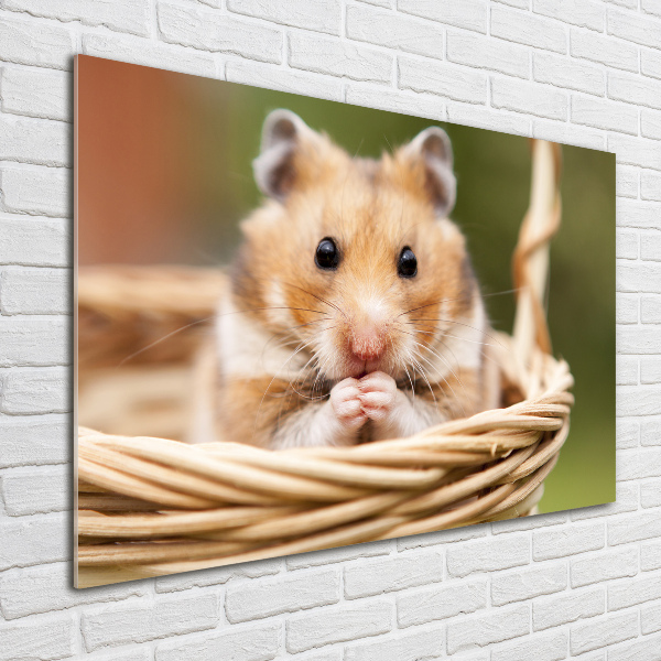 Acrylbild Fotodruck Hamster im Korb