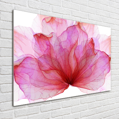 Bild auf Acrylglas Rosa Blume