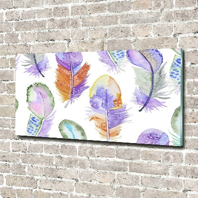 Acrylglas-Druck Bunte Federn
