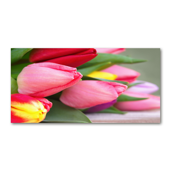 Acrylbild Fotodruck Bunte Tulpen