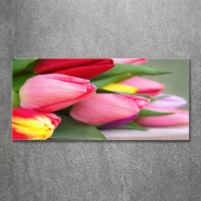 Acrylbild Fotodruck Bunte Tulpen