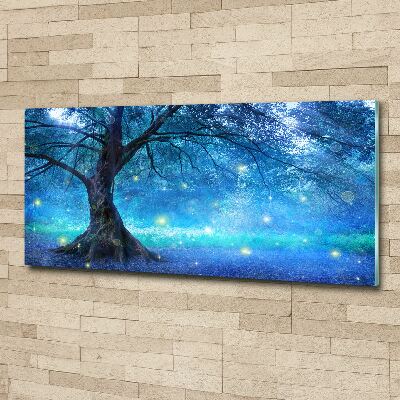 Acrylbild Fotodruck geheimnisvoller Wald