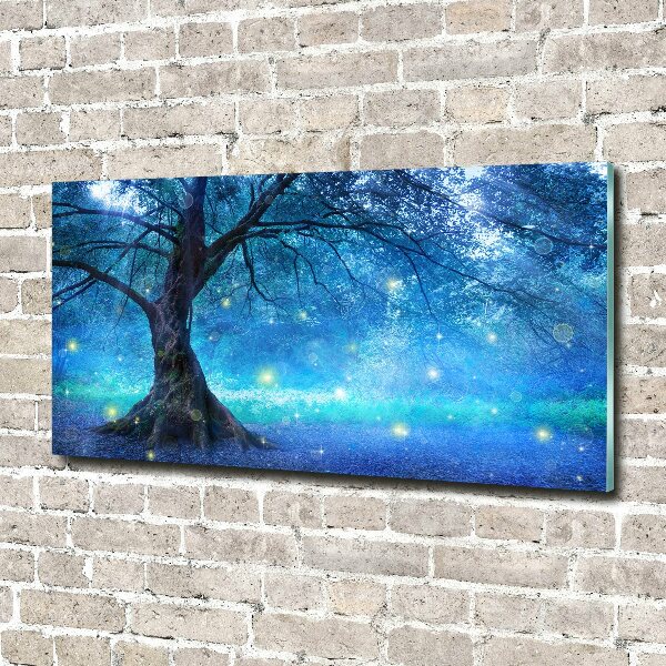 Acrylbild Fotodruck geheimnisvoller Wald