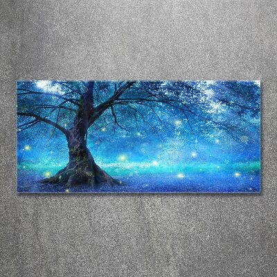 Acrylbild Fotodruck geheimnisvoller Wald