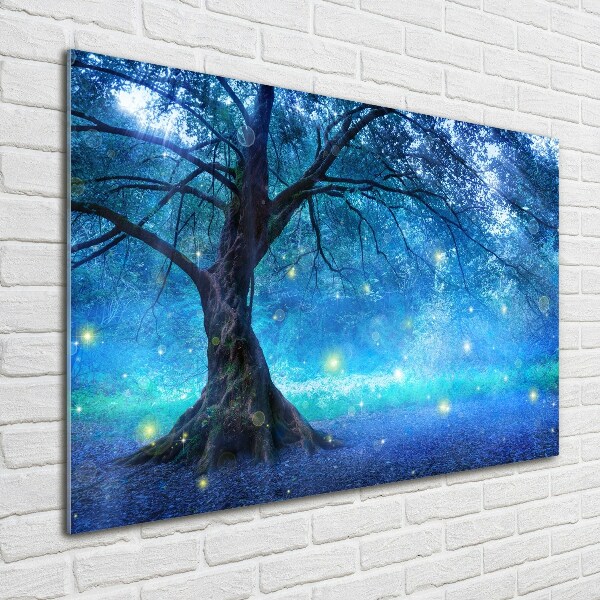 Acrylbild Fotodruck geheimnisvoller Wald