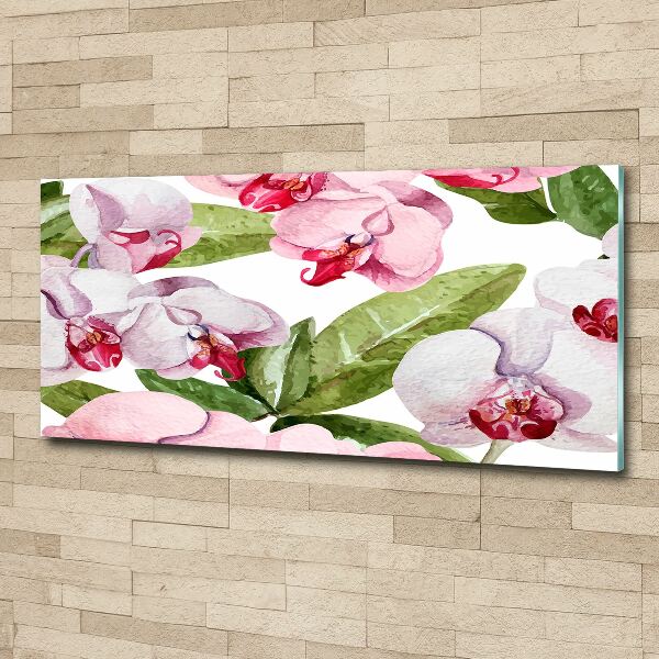 Acrylbild Fotodruck Rosa Orchideen