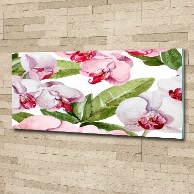 Acrylbild Fotodruck Rosa Orchideen