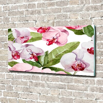 Acrylbild Fotodruck Rosa Orchideen