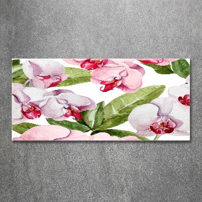 Acrylbild Fotodruck Rosa Orchideen
