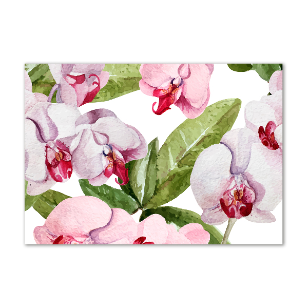 Acrylbild Fotodruck Rosa Orchideen