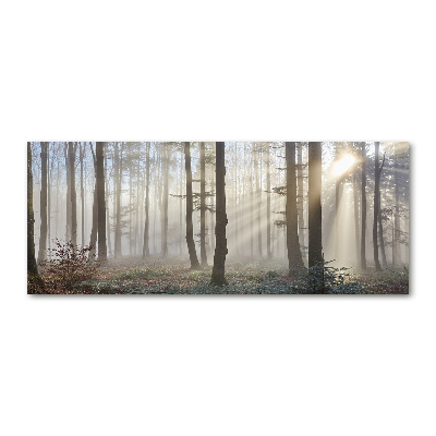 Acrylglas-Druck Nebel im Wald