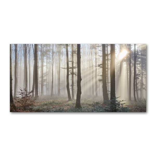 Acrylglas-Druck Nebel im Wald