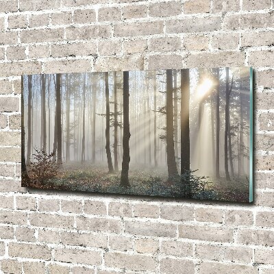 Acrylglas-Druck Nebel im Wald