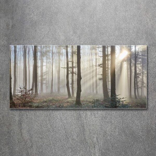 Acrylglas-Druck Nebel im Wald