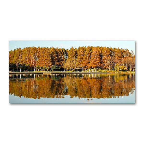 Bild auf Acrylglas Wald am See