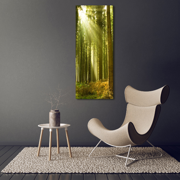 Bild auf Acrylglas vertikal Die Sonne im Wald