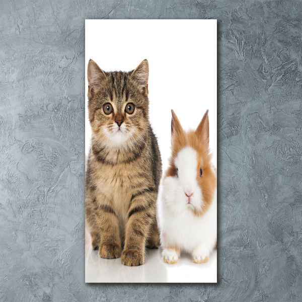 Plexiglasbilder vertikal Haustiere