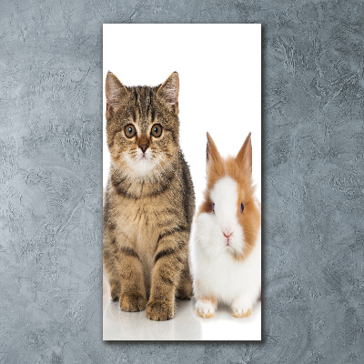 Plexiglasbilder vertikal Haustiere